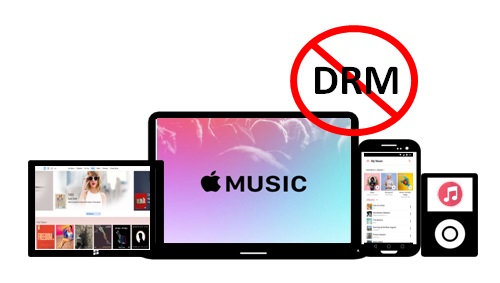 How to Remove DRM from Apple Music?