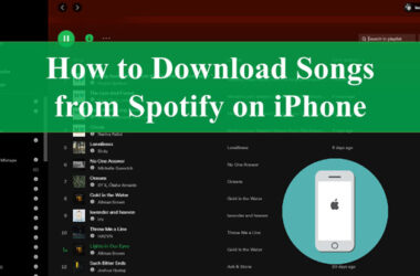 How To Download Songs On Spotify For iPhone